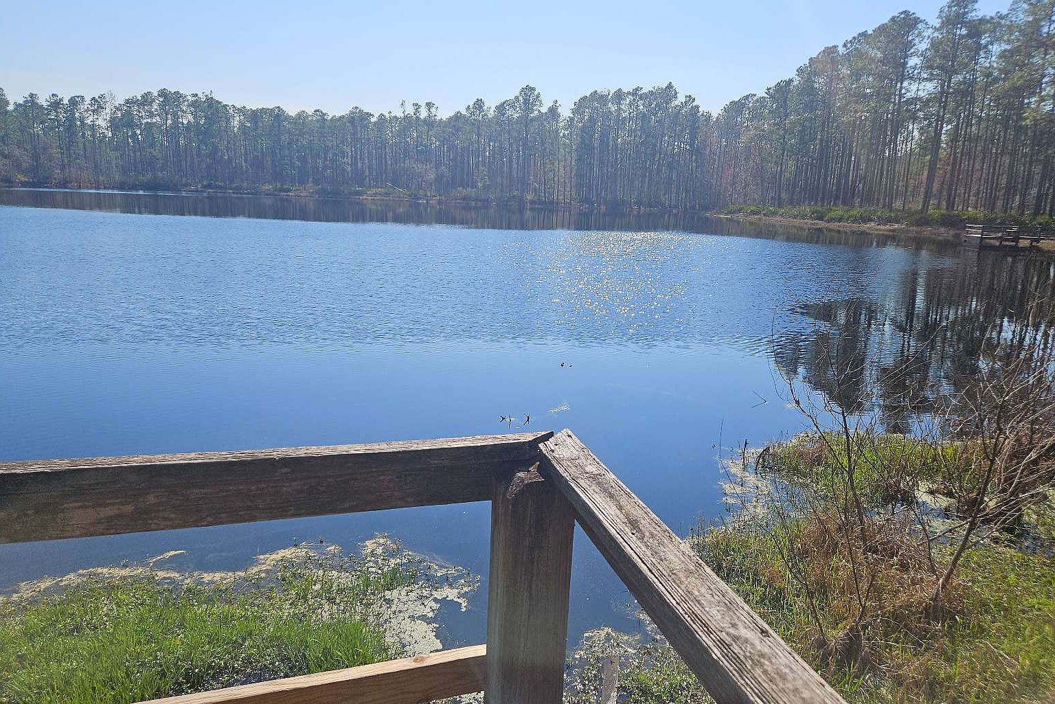 619 NW Lonnie Ln White Springs, FL 32096 - Thumbnail 3