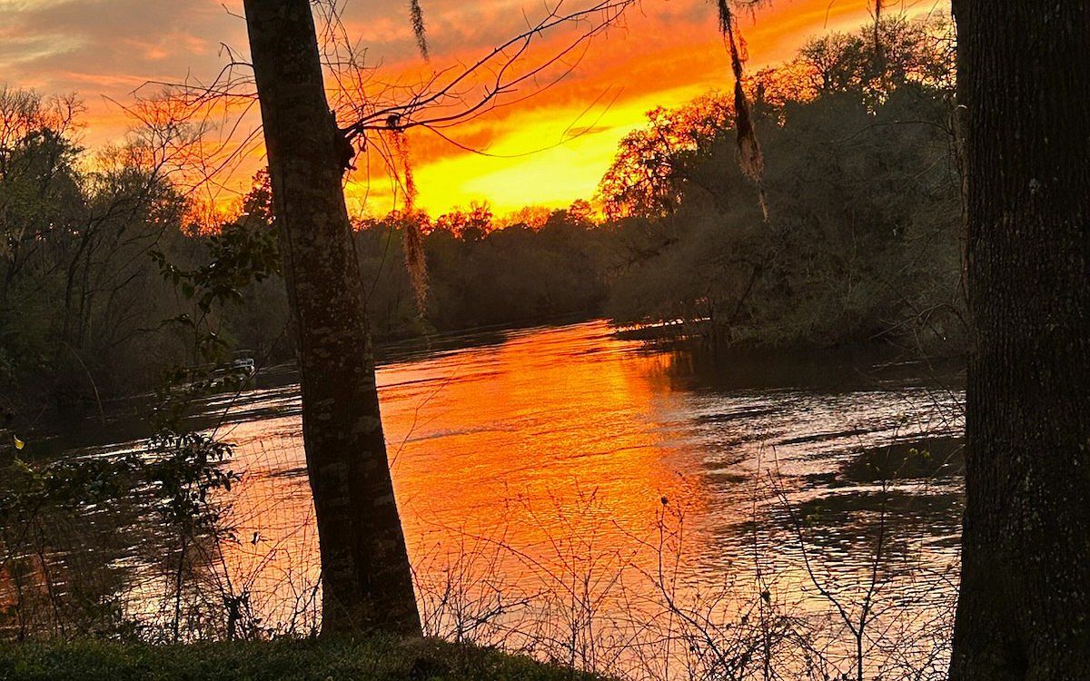 10283 Riverwood Dr Live Oak, FL 32060 - Thumbnail 3