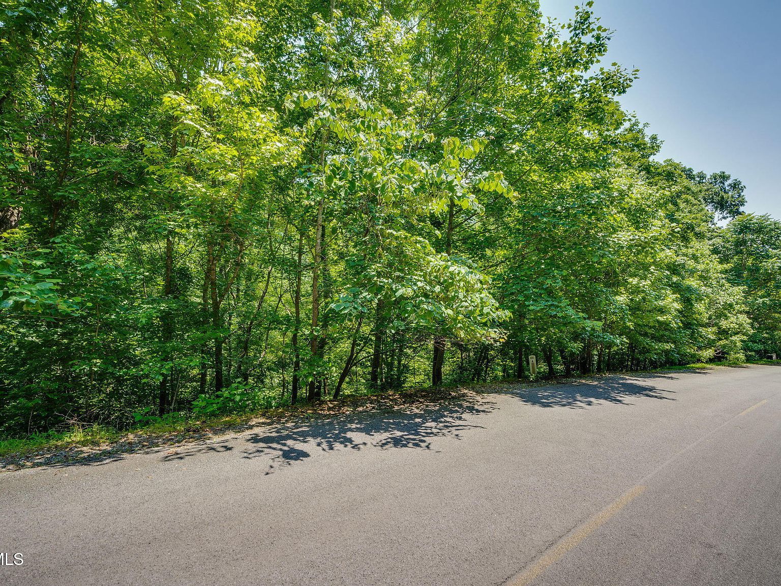 4 Walnut Bend Dr Whitesburg, TN 37891 - Thumbnail 3