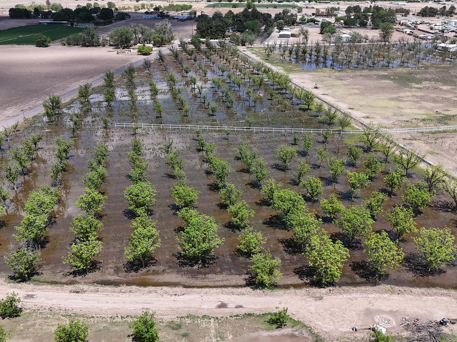 557 Aldaz Rd Anthony, NM 88021 - Thumbnail 3