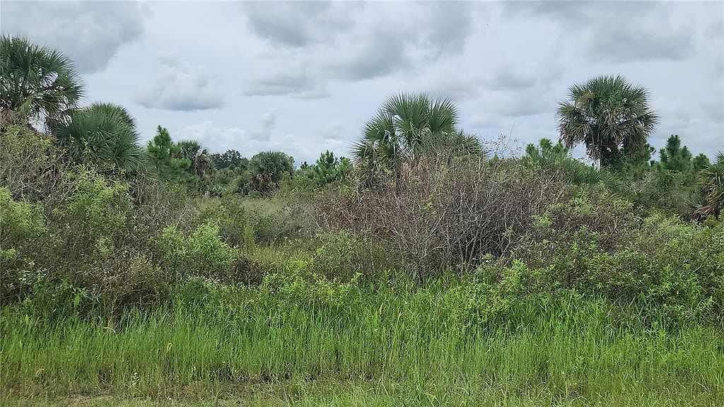 14988 NW 316th St Okeechobee, FL 34972 - Thumbnail 3