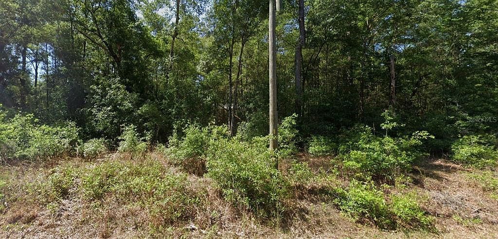 0 SW Starling Dr #4 Dunnellon, FL 34431 - Thumbnail 3