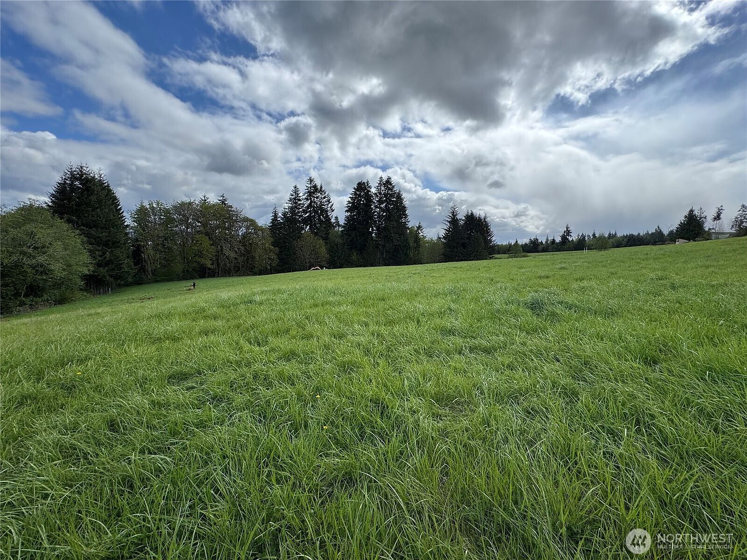 200 Fineview Rd #C Chehalis, WA 98532 | Land/Lot