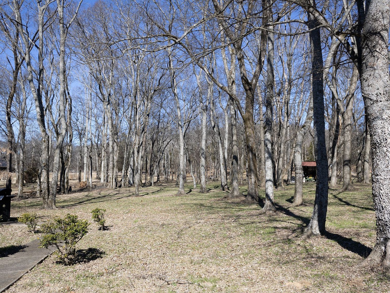 2956 Spanntown Rd Arrington, TN 37014 - Thumbnail 3