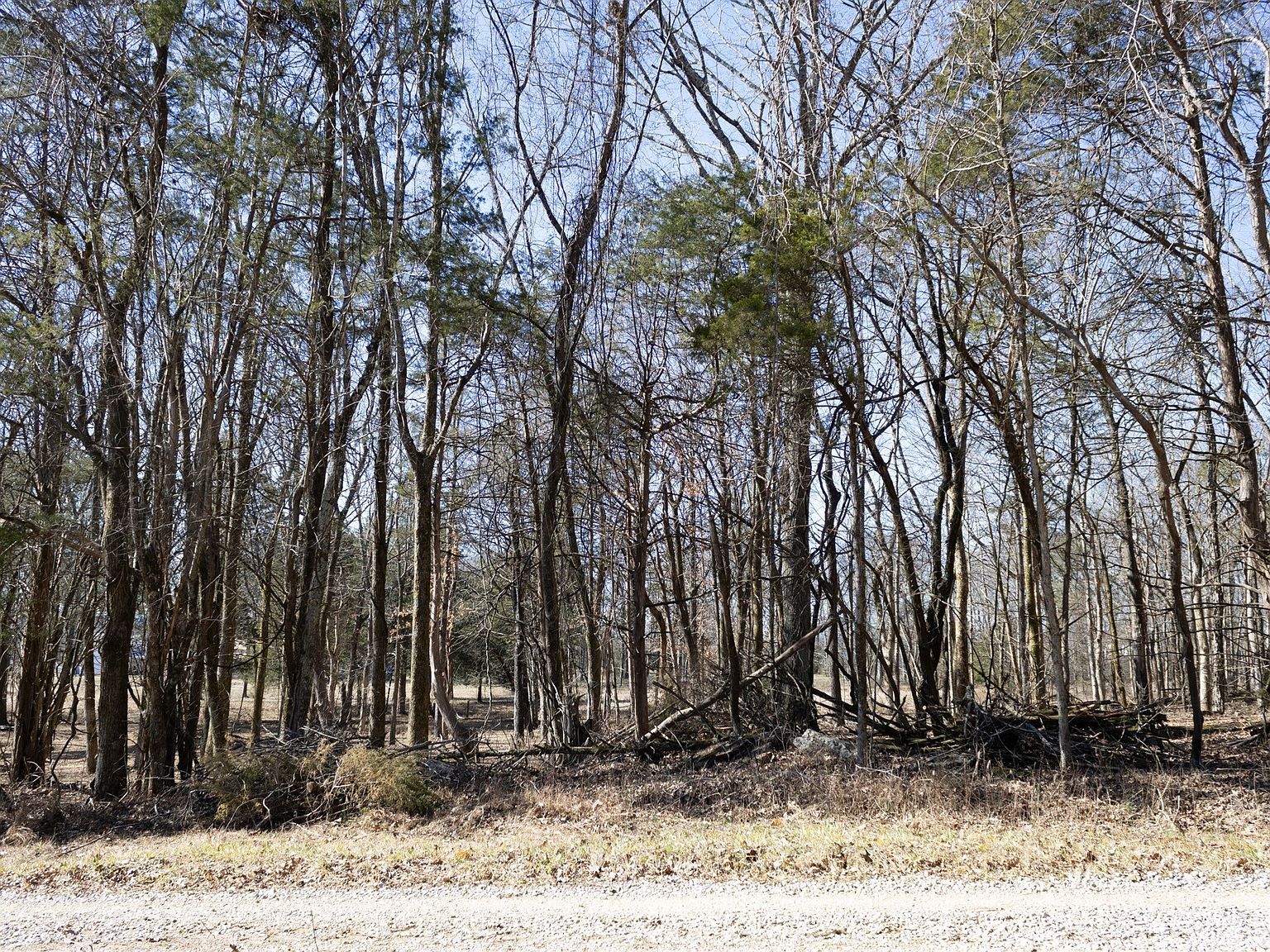 2958 Spanntown Rd Arrington, TN 37014 - Thumbnail 3