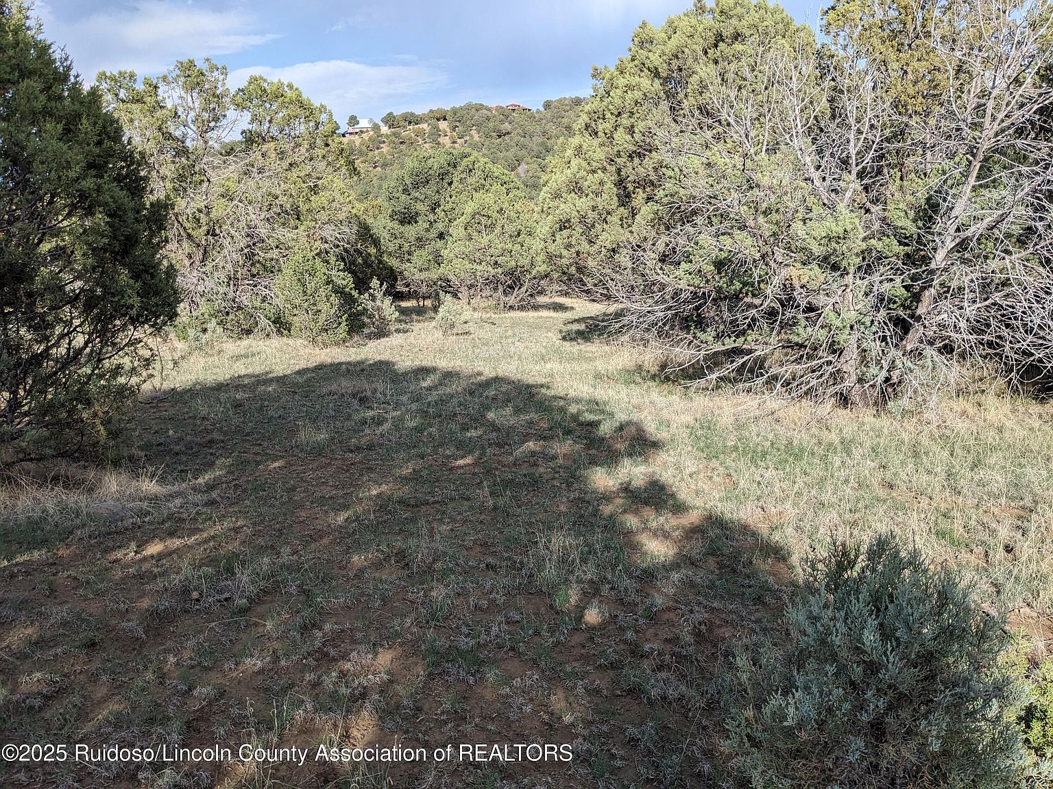 165-166 Corvo Crista #2 Alto, NM 88312 - Thumbnail 3