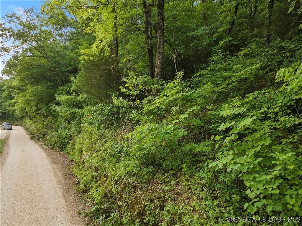 Wa Ha Ma Dr Camdenton, MO 65020 - Thumbnail 3