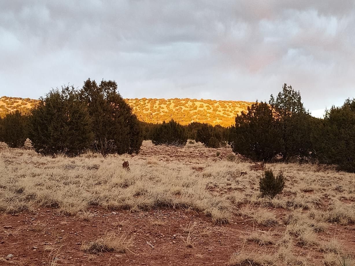 268 Old Abo Trl Mountainair, NM 87036 - Thumbnail 3