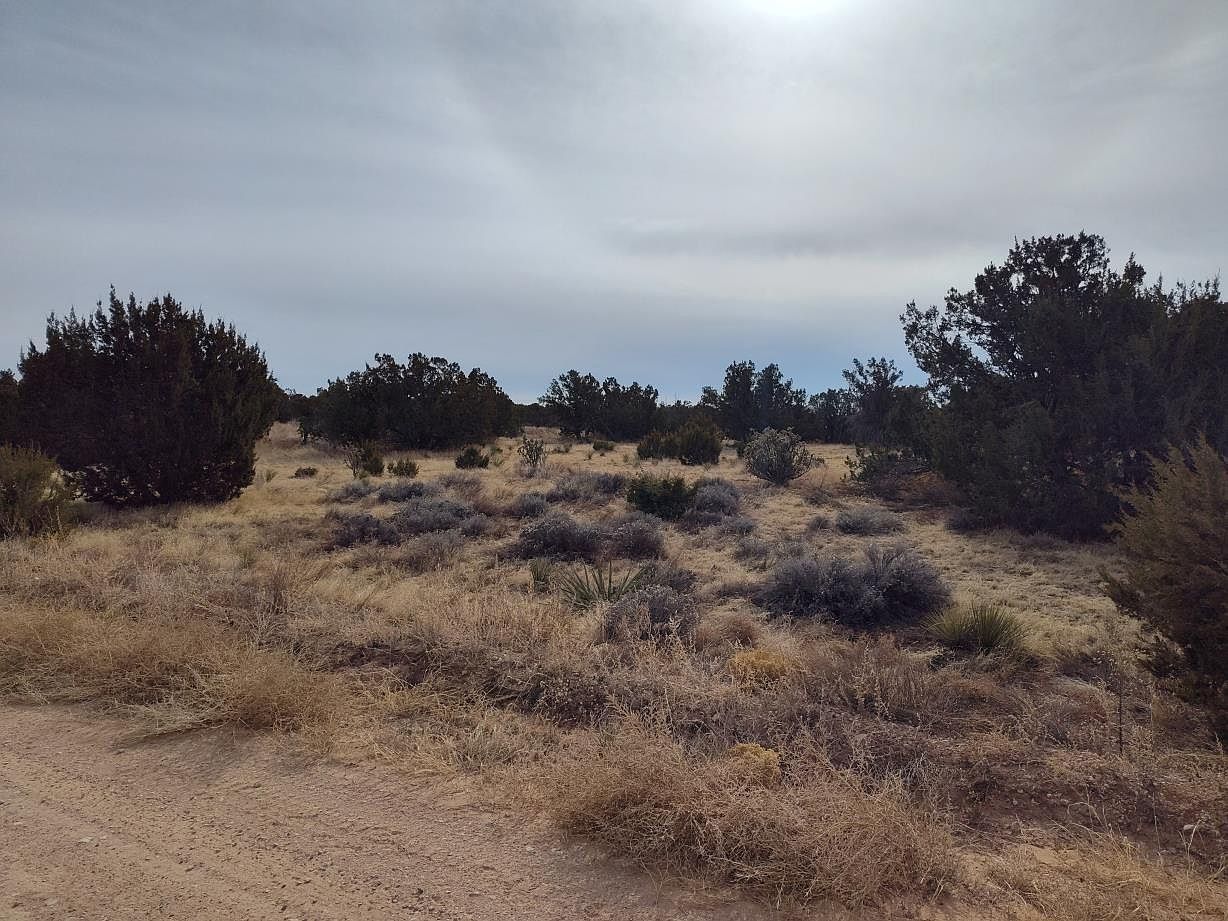 7th St E Mountainair, NM 87036 - Thumbnail 3