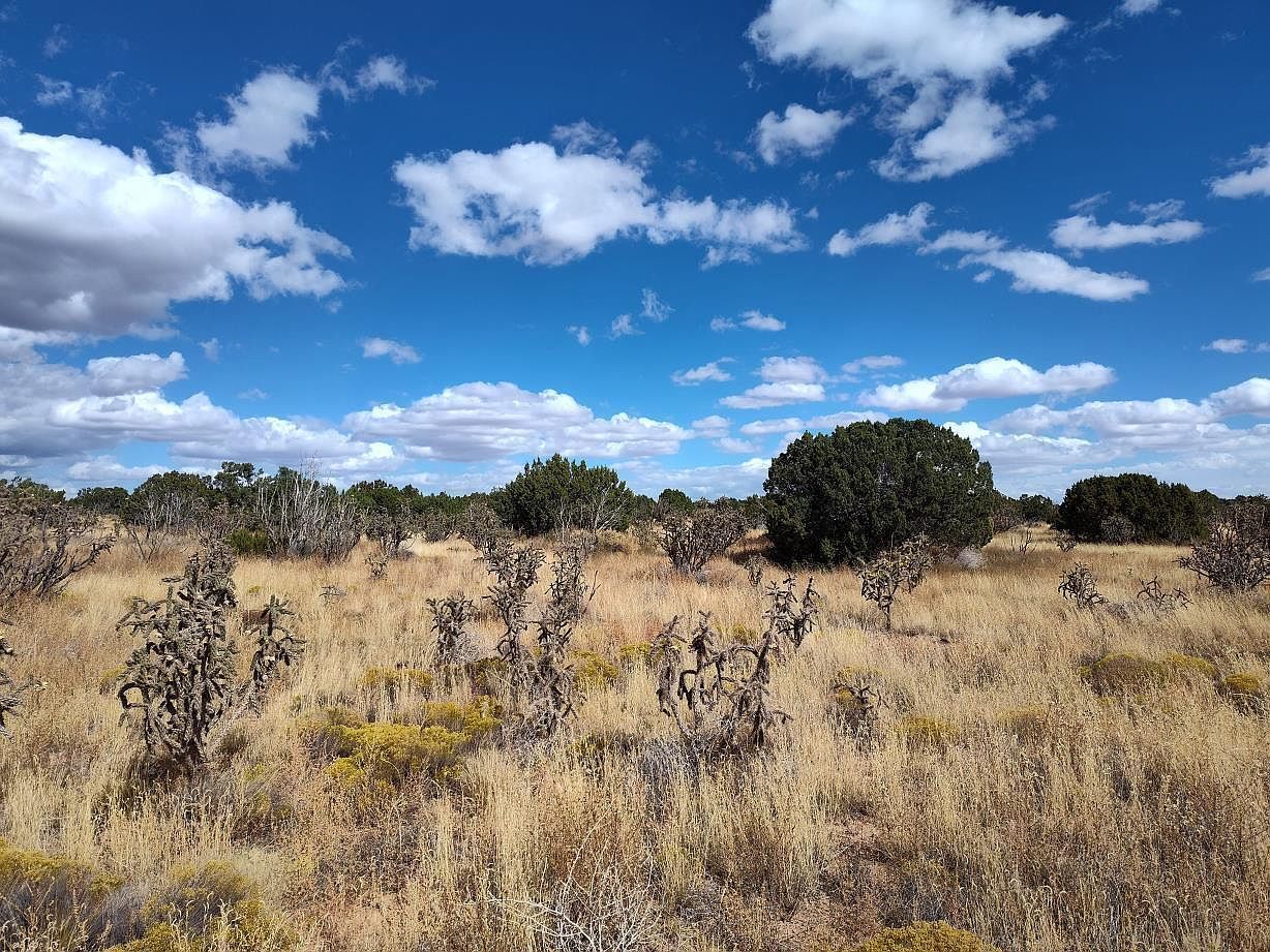 Golf Course Rd Mountainair, NM 87036 - Thumbnail 3