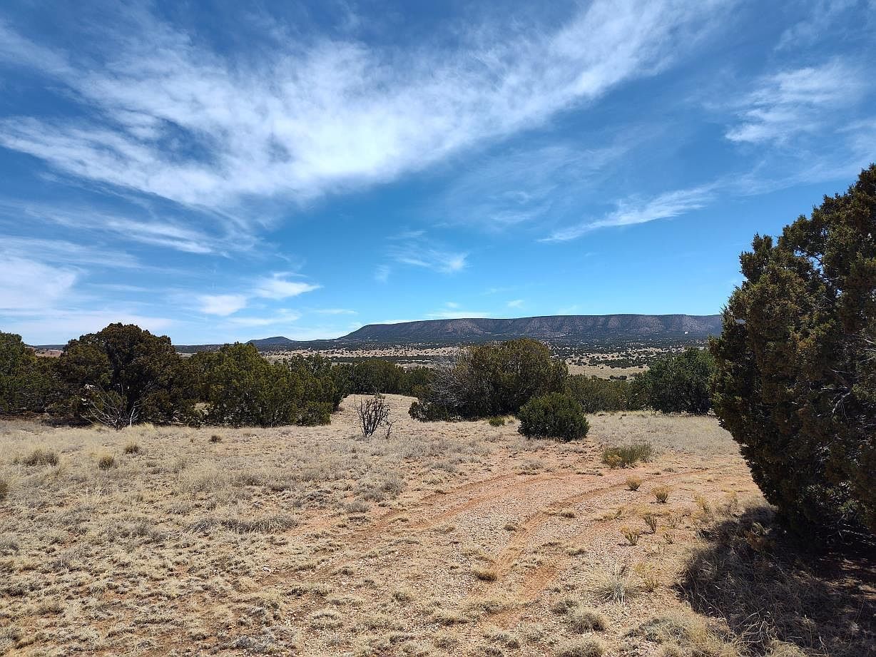 60 Highway Mountainair, NM 87036 - Thumbnail 3