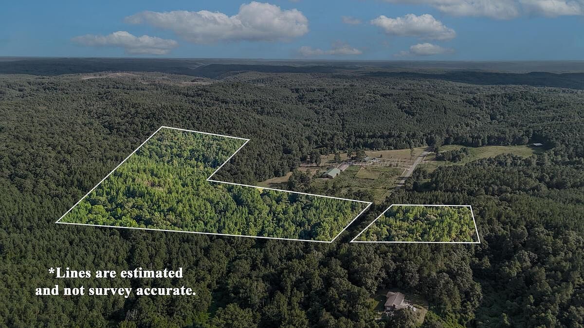 County Road 63 N Carbon Hill, AL 35549 - Thumbnail 3