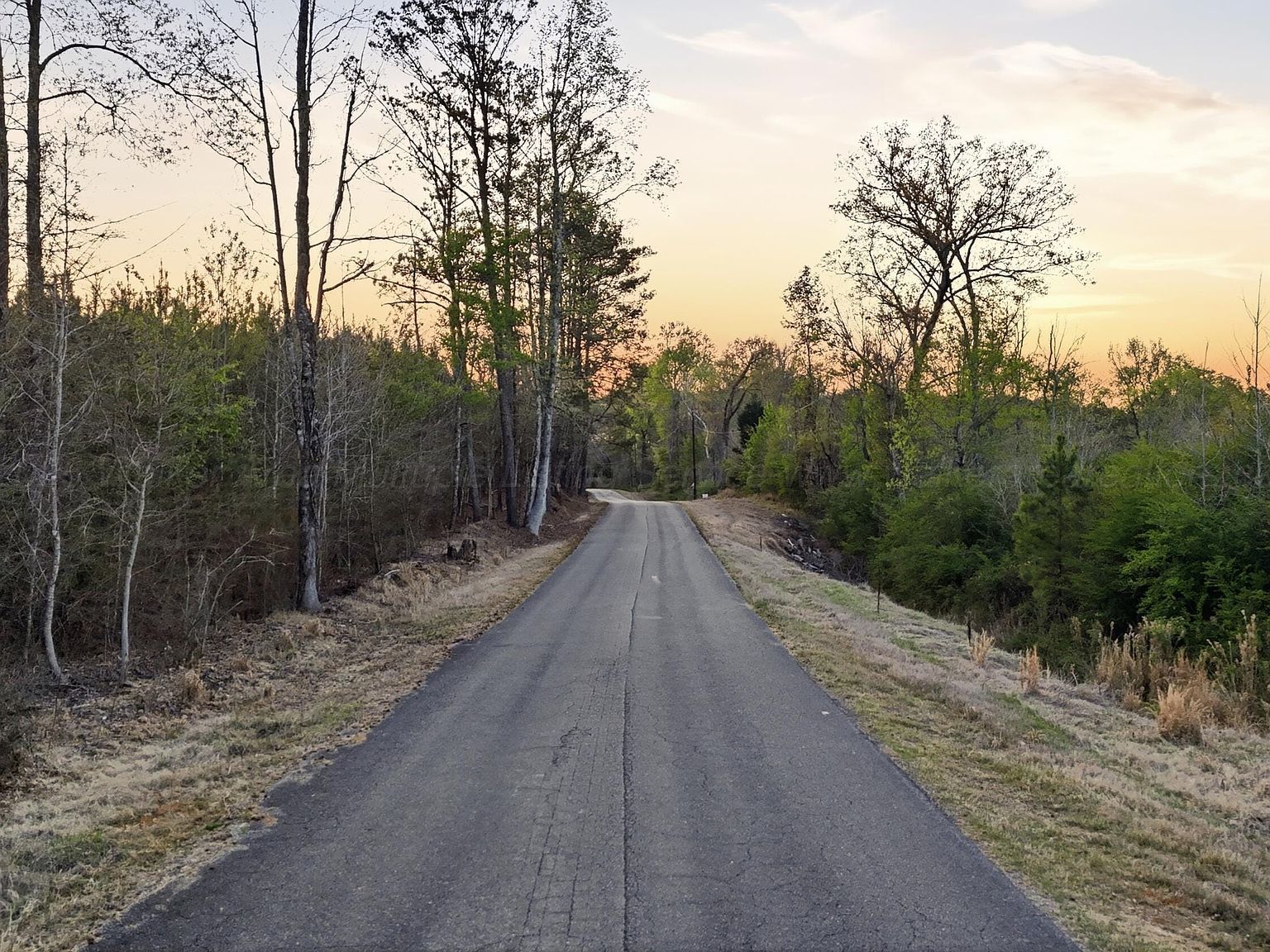 Old Bankhead Cordova, AL 35550 - Thumbnail 3