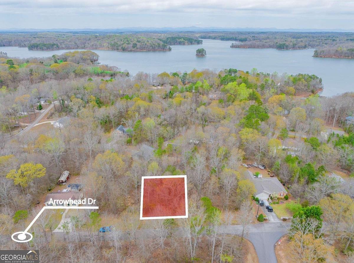 0 Arrowhead Court Mohawk Trl Lavonia, GA 30553 - Thumbnail 3