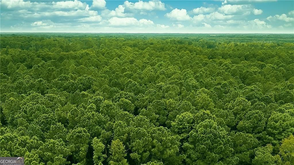 0 S Us Highway 319 Tifton, GA 31793 - Thumbnail 3