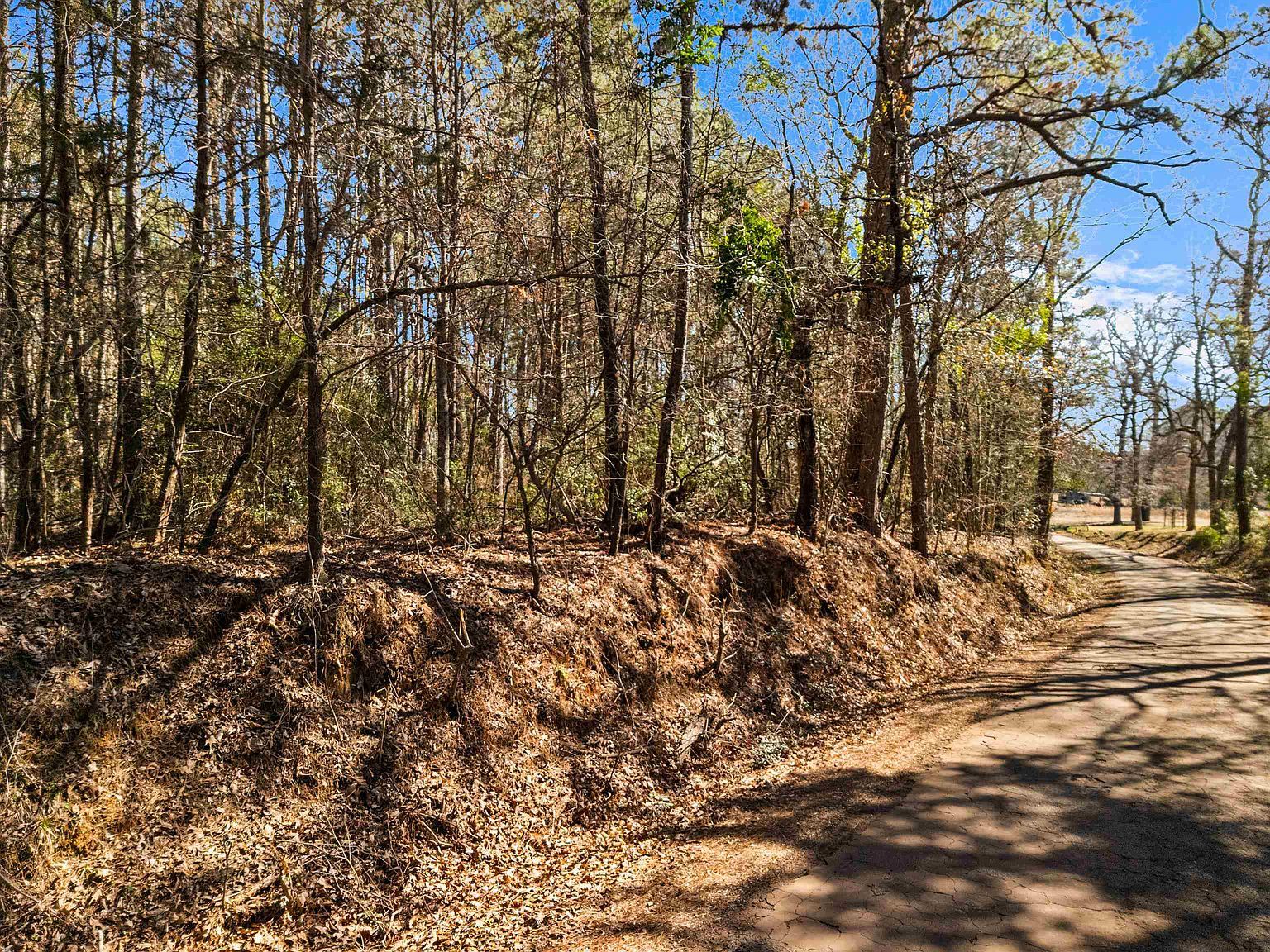 Dreesen Rd Jefferson, TX 75657 - Thumbnail 3