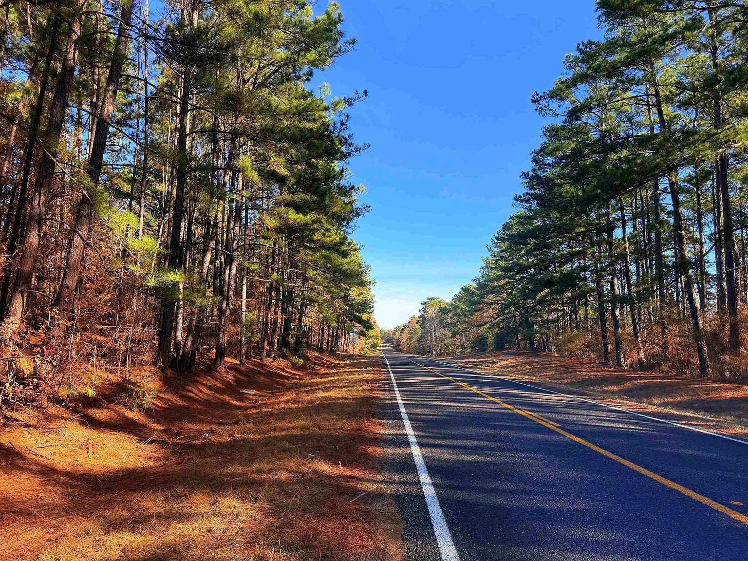 Fm 726 #3 Jefferson, TX 75657 - Thumbnail 3