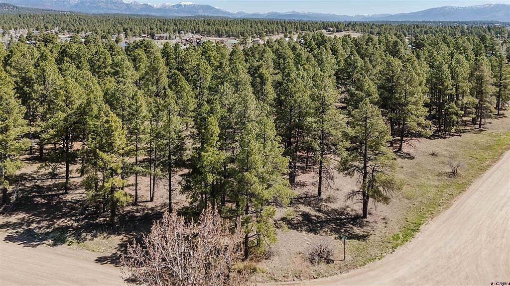 57 Martinez Pl Pagosa Springs, CO 81147 - Thumbnail 3