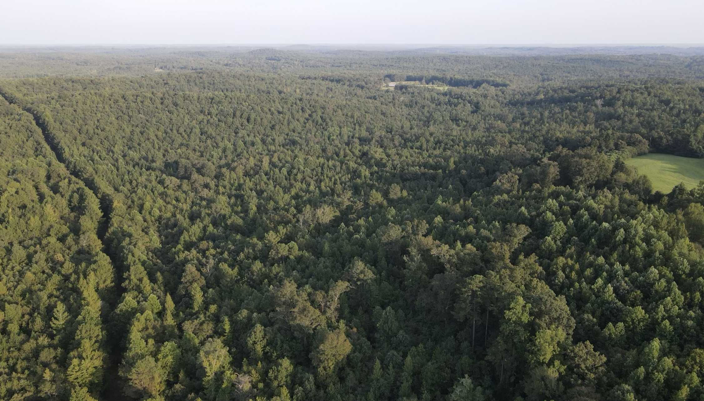 AL-17, Millport, AL, USA, 35576 - Thumbnail 3