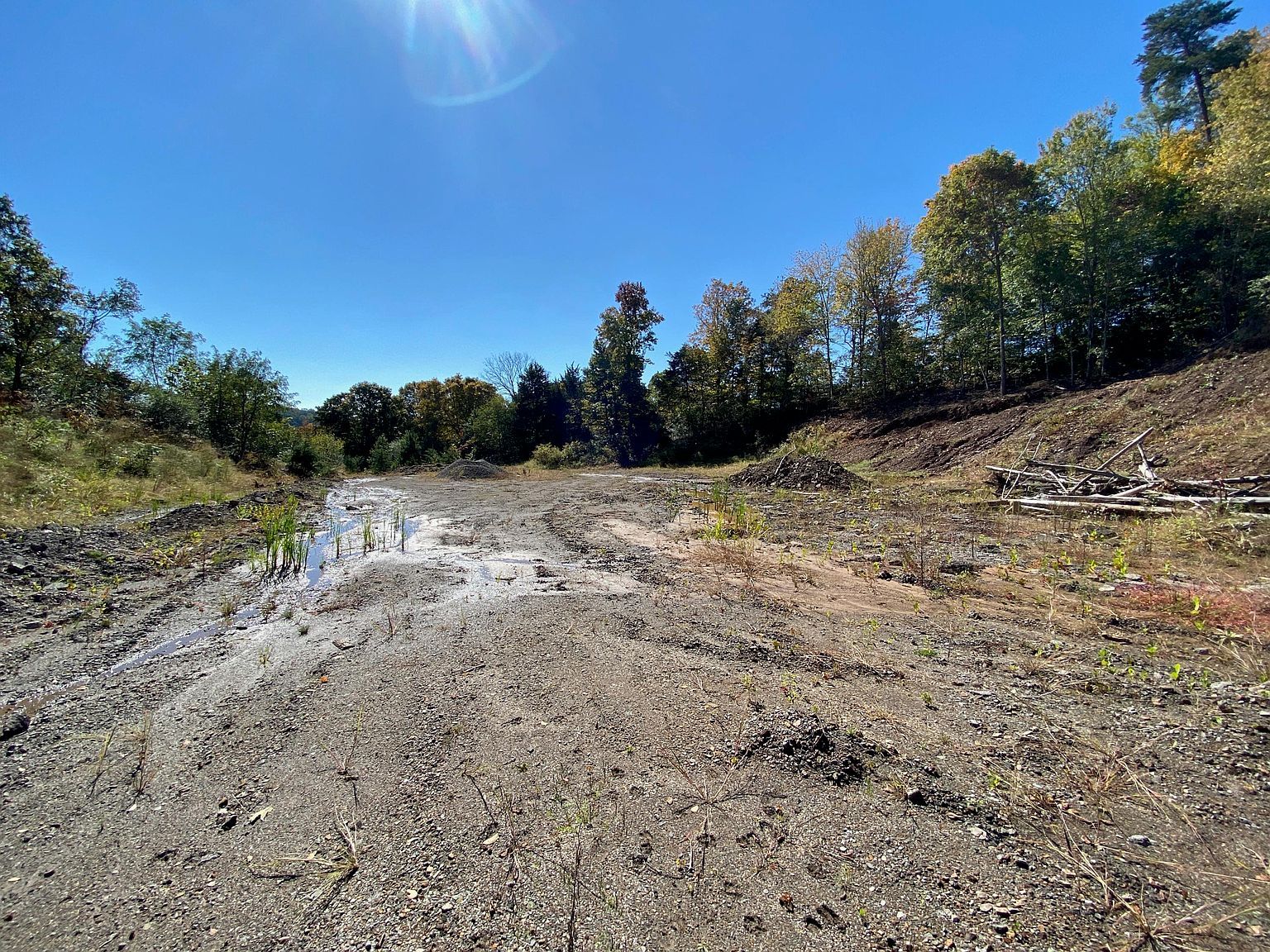 2015 Rehburg Way Knoxville, TN 37932 - Thumbnail 3