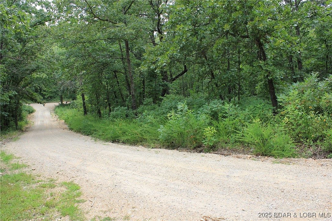 346 Blackberry Rd Macks Creek, MO 65786 - Thumbnail 3