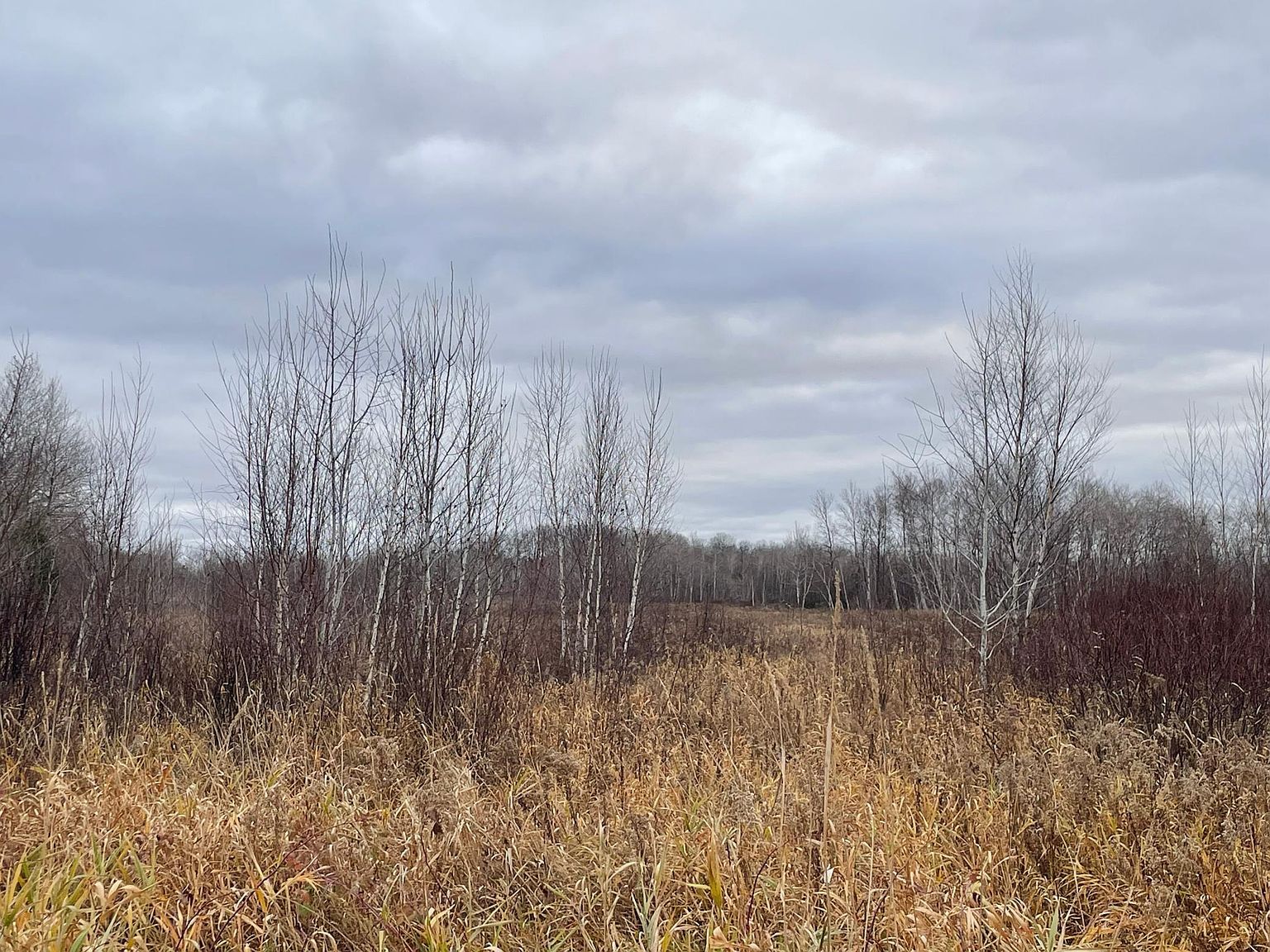 Olson Rd Hinckley, MN 55037 - Thumbnail 3