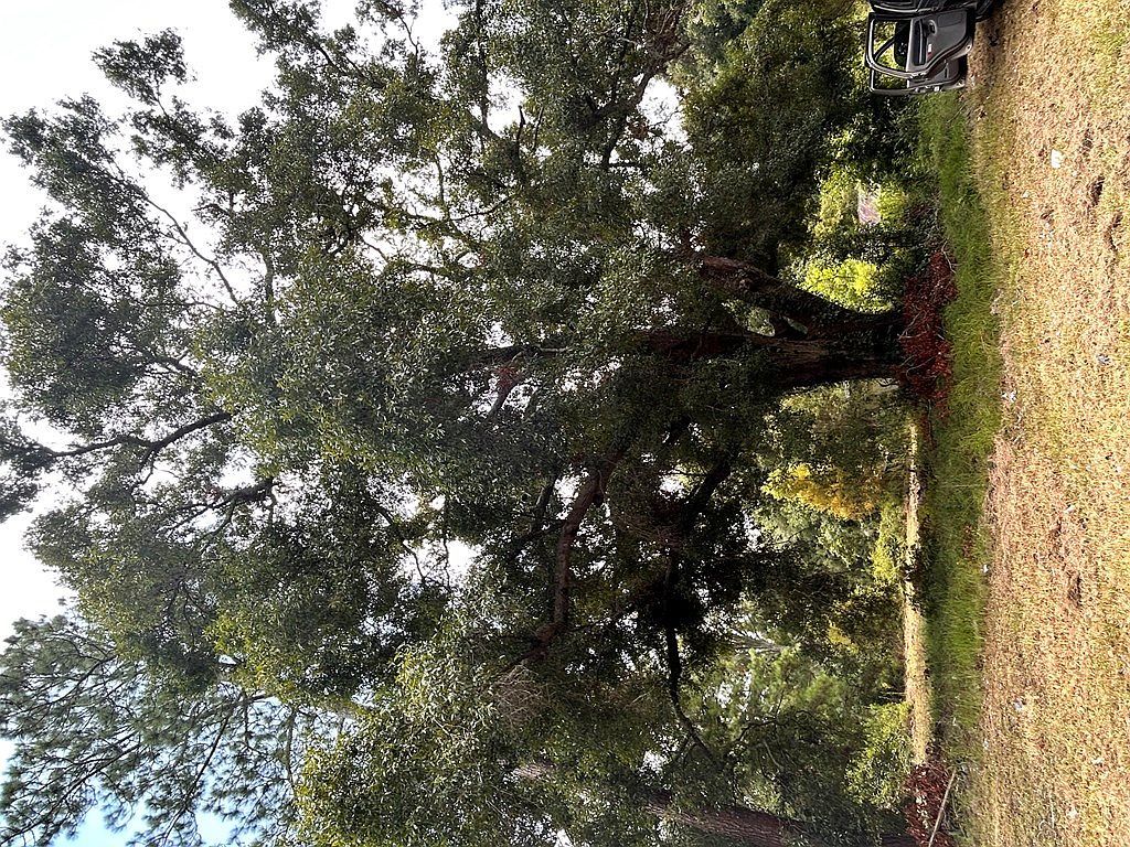 1941 Mora Rd Willacoochee, GA 31650 - Thumbnail 3