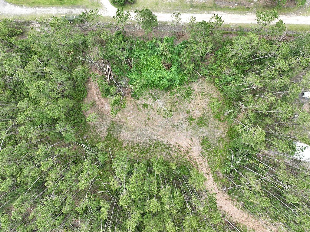 6923 Willacoochee Hwy Willacoochee, GA 31650 - Thumbnail 3