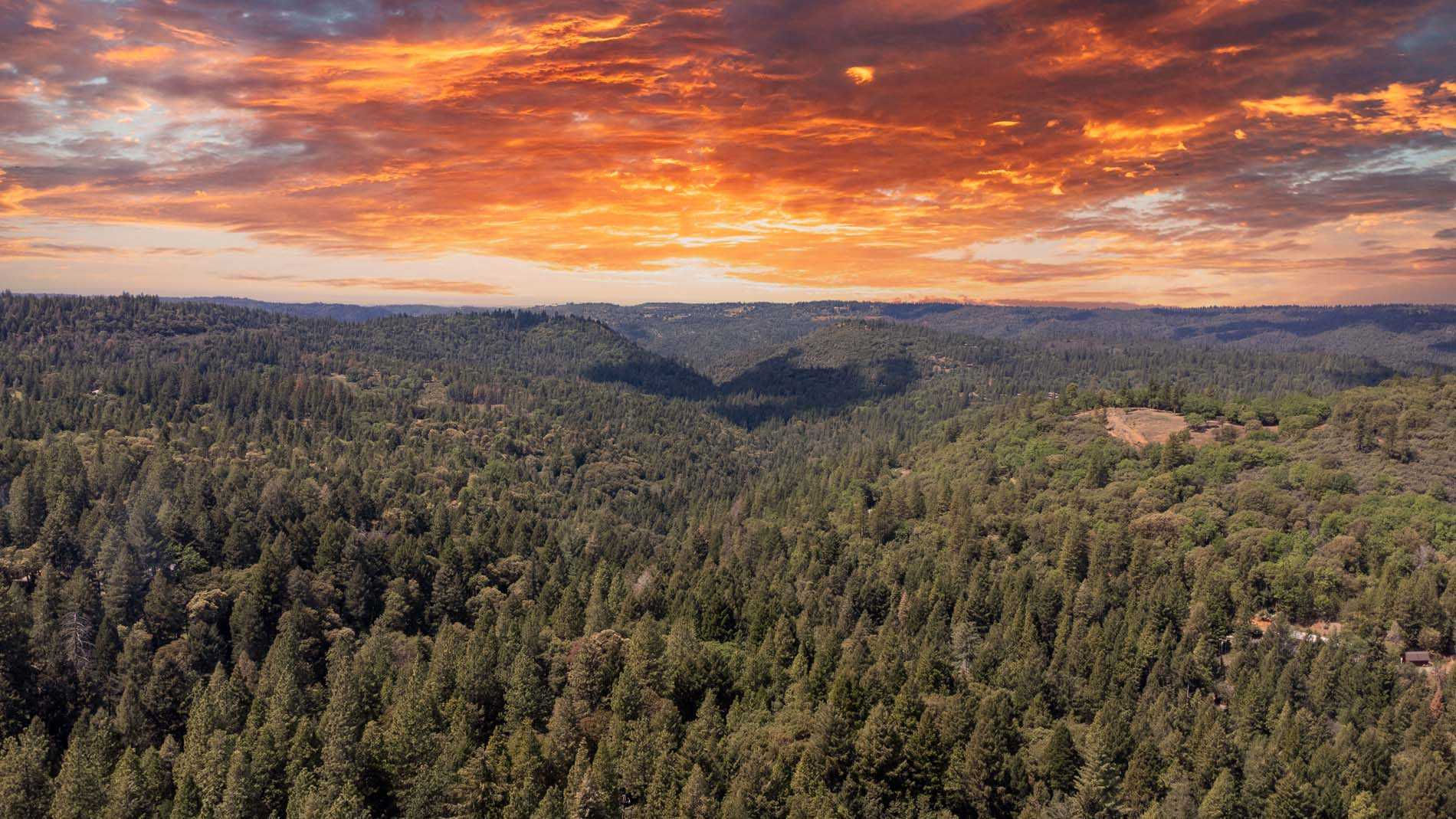 24871 Ridge Crest Drive, Pioneer, CA, USA, 95666 - Thumbnail 3