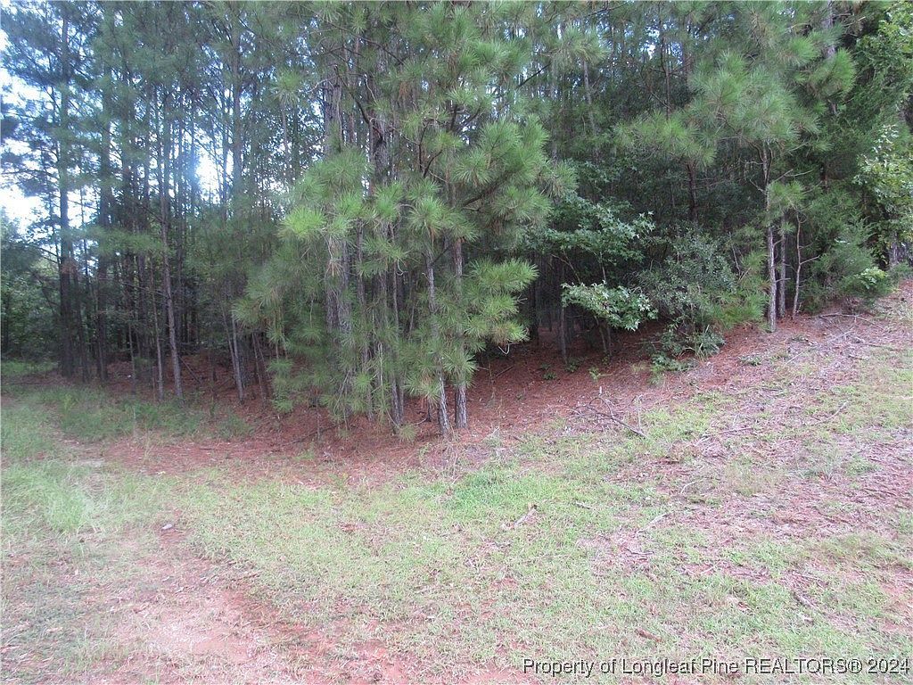 0 Boone Trail Rd Sanford, NC 27330 - Thumbnail 3