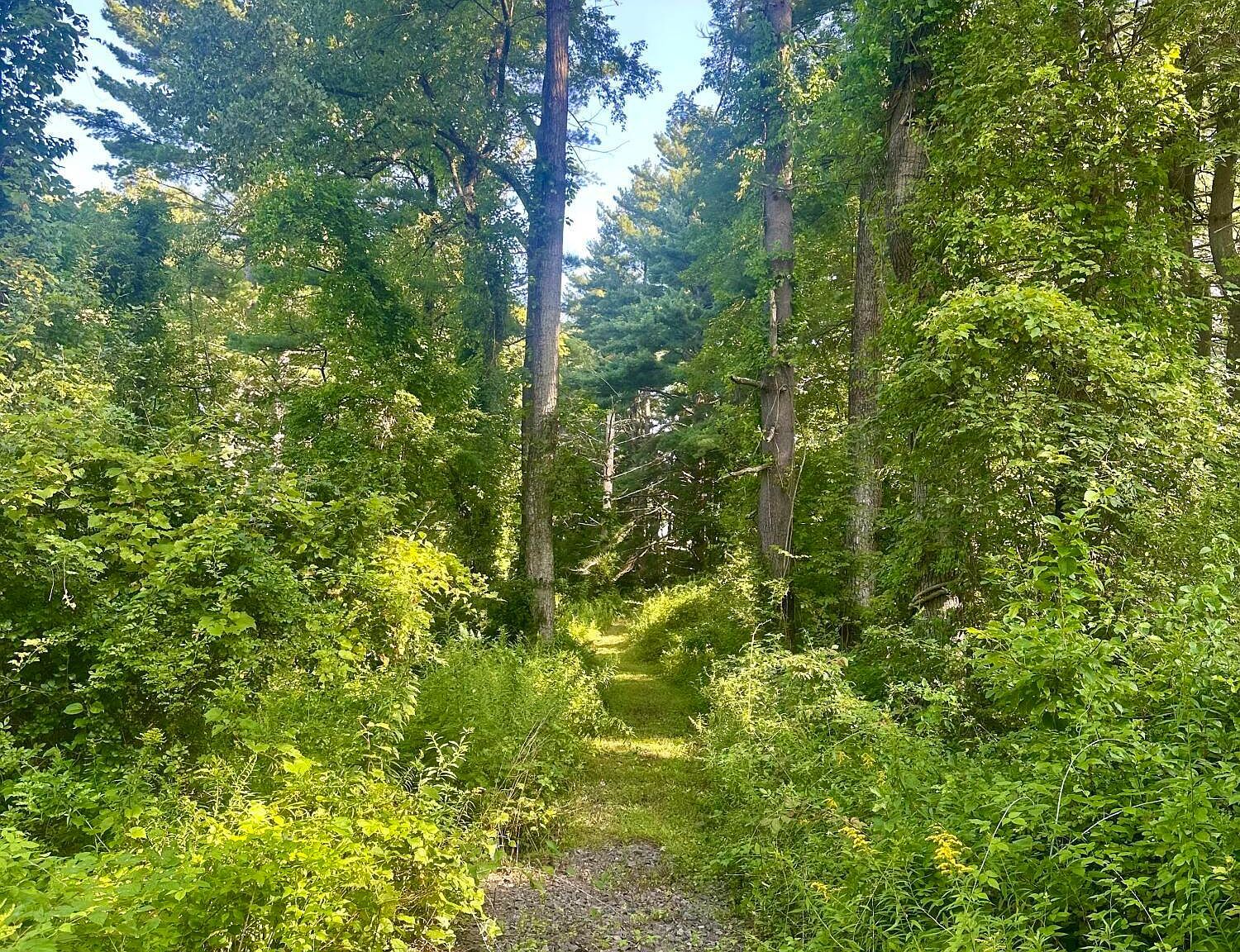 46 Seekonk Rd Great Barrington, MA 01230 - Thumbnail 3