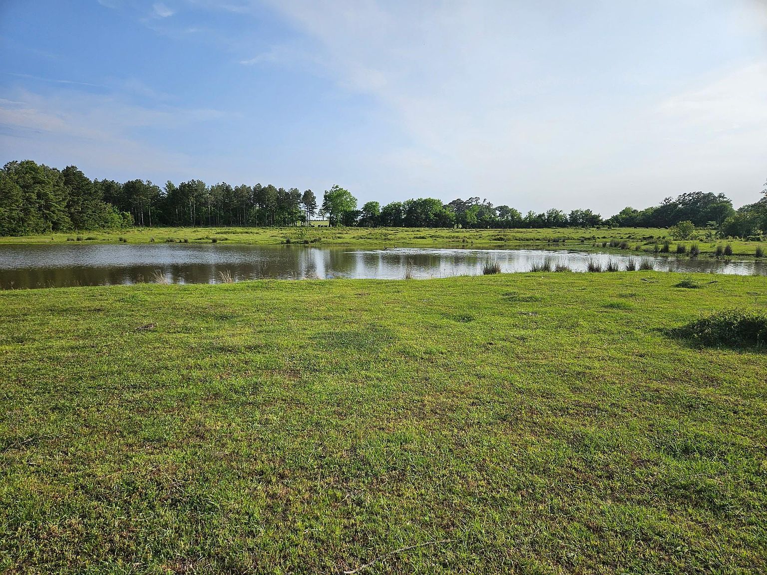 377 Fm 3179 Rd Huntsville, TX 77340 - Thumbnail 3