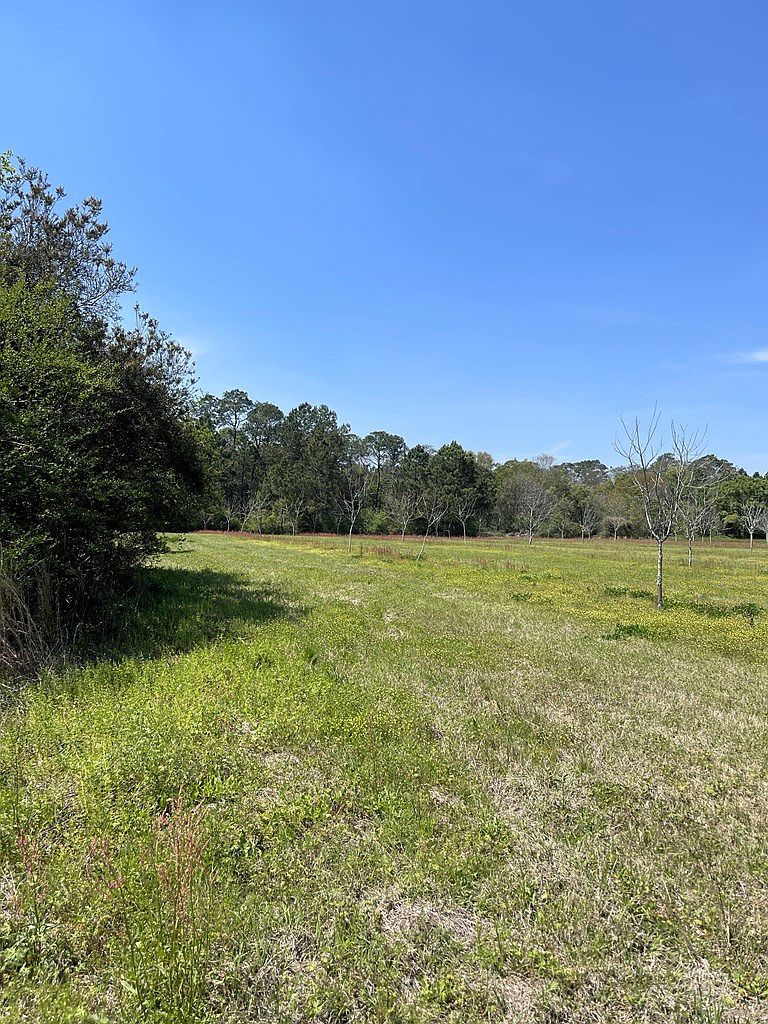 25 Ponderosa Ln Lakeland, GA 31635 - Thumbnail 3