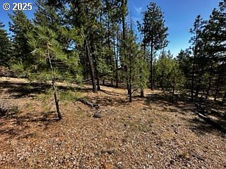 2 Orchard Heights Rd Goldendale, WA 98620 - Thumbnail 3