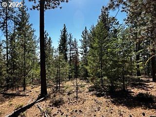 1 Orchard Heights Rd Goldendale, WA 98620 - Thumbnail 3