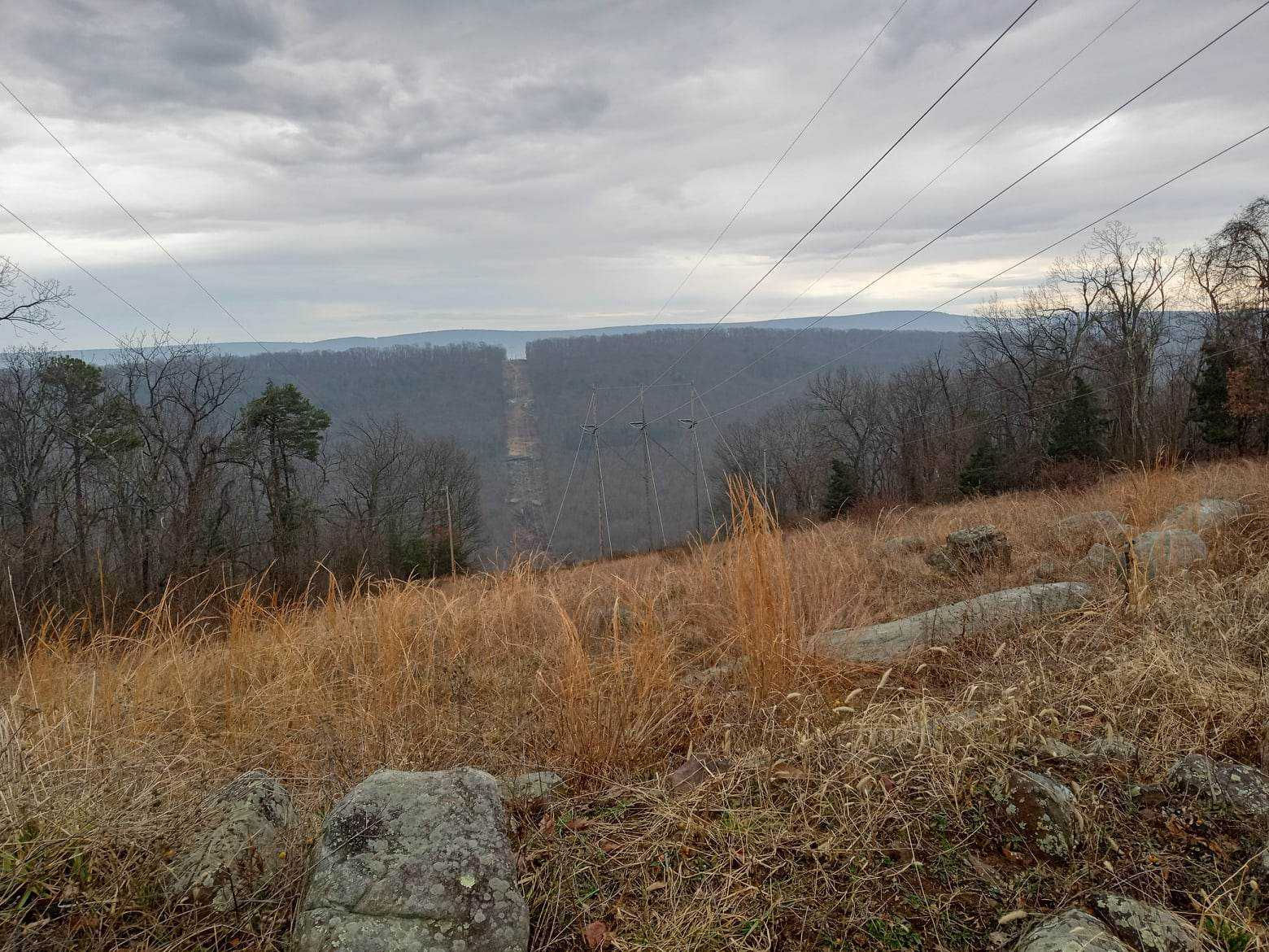 White Pine Lane, Capon Bridge, WV, USA, Capon Bridge, WV, 26711 | Land/Lot