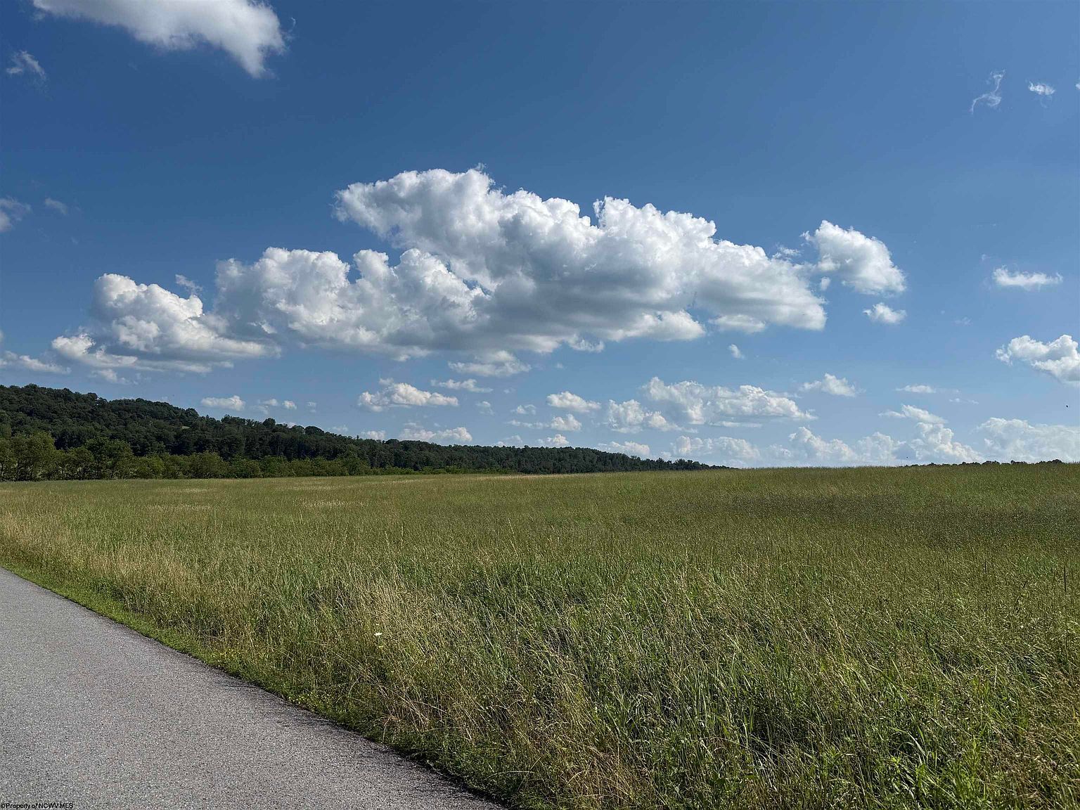 0 Clifton Salem Rd Bruceton Mills, WV 26525  | Land/Lot