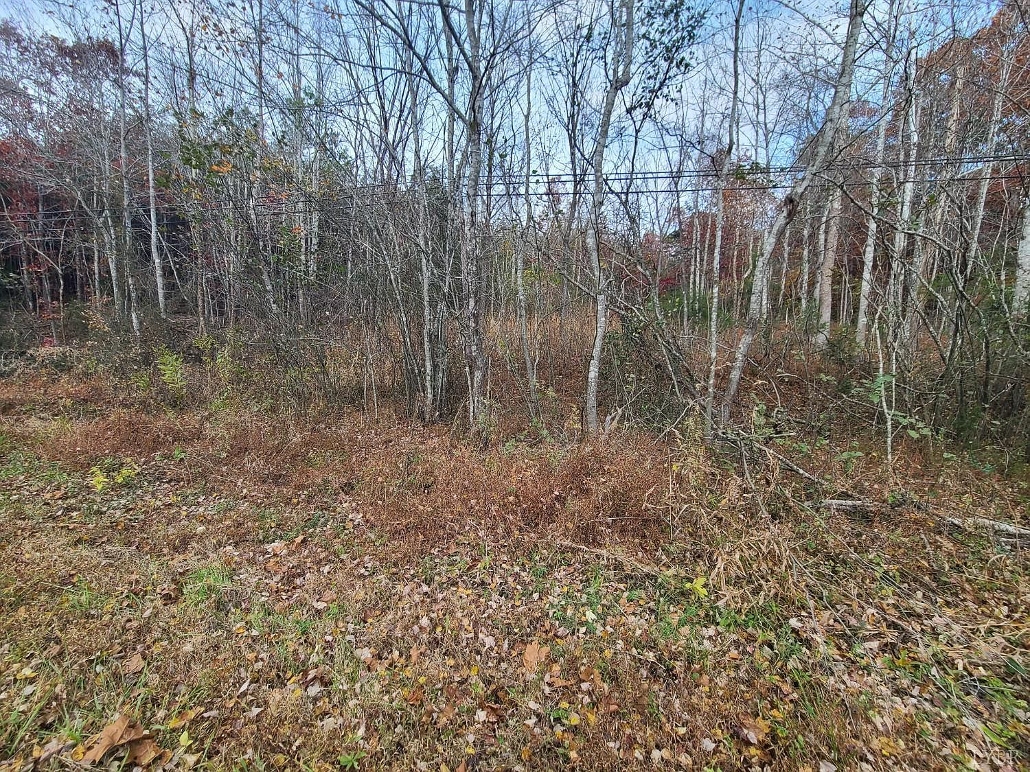 0 Pittsville Rd LOT 12 Gretna, VA 24557 - Thumbnail 3