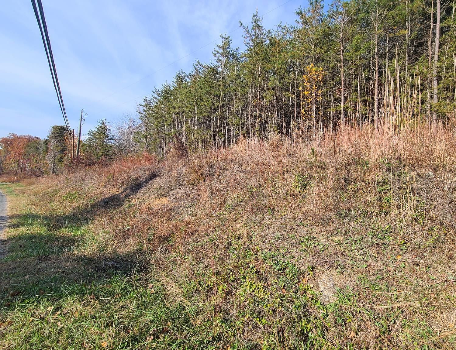 0 Pittsville Rd LOT 10 Gretna, VA 24557 - Thumbnail 3