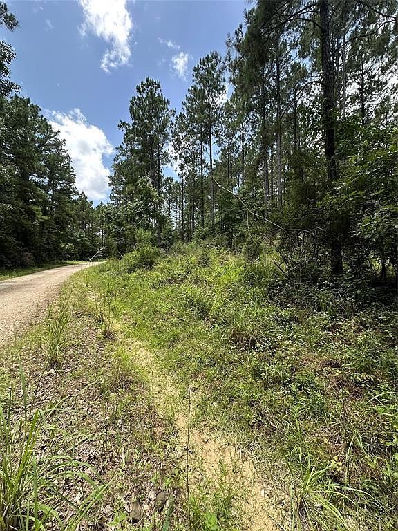 Dickens Loop Livingston, TX 77351 - Thumbnail 3