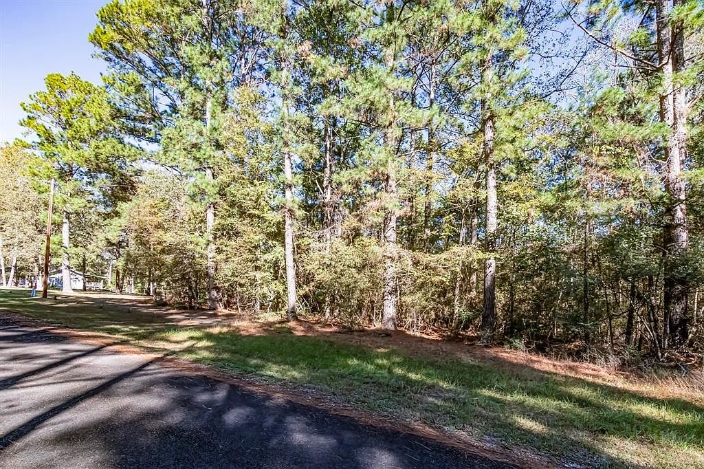 Mockingbird Hls LOT 503 Livingston, TX 77351 - Thumbnail 3