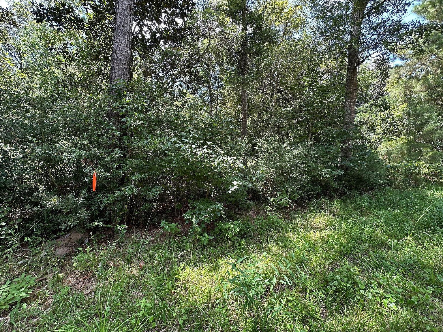 91 Road 2726 Cleveland, TX 77327 - Thumbnail 3