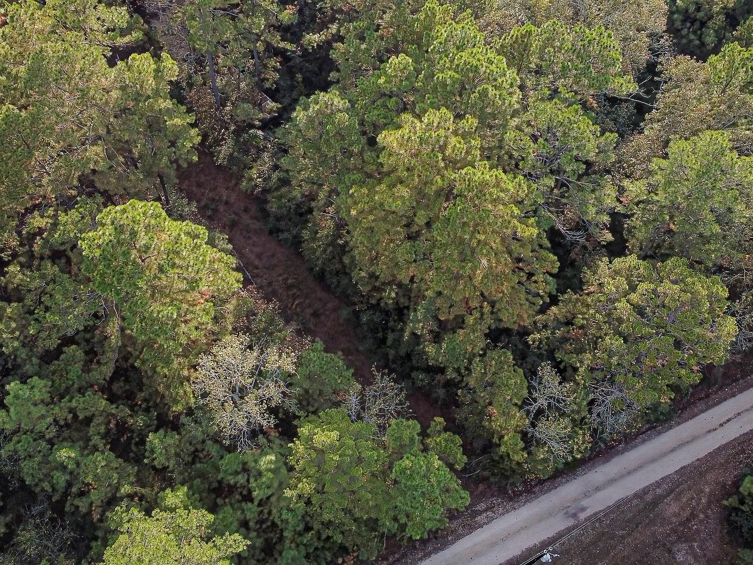 186 Rosanky Leggett, TX 77351 - Thumbnail 3