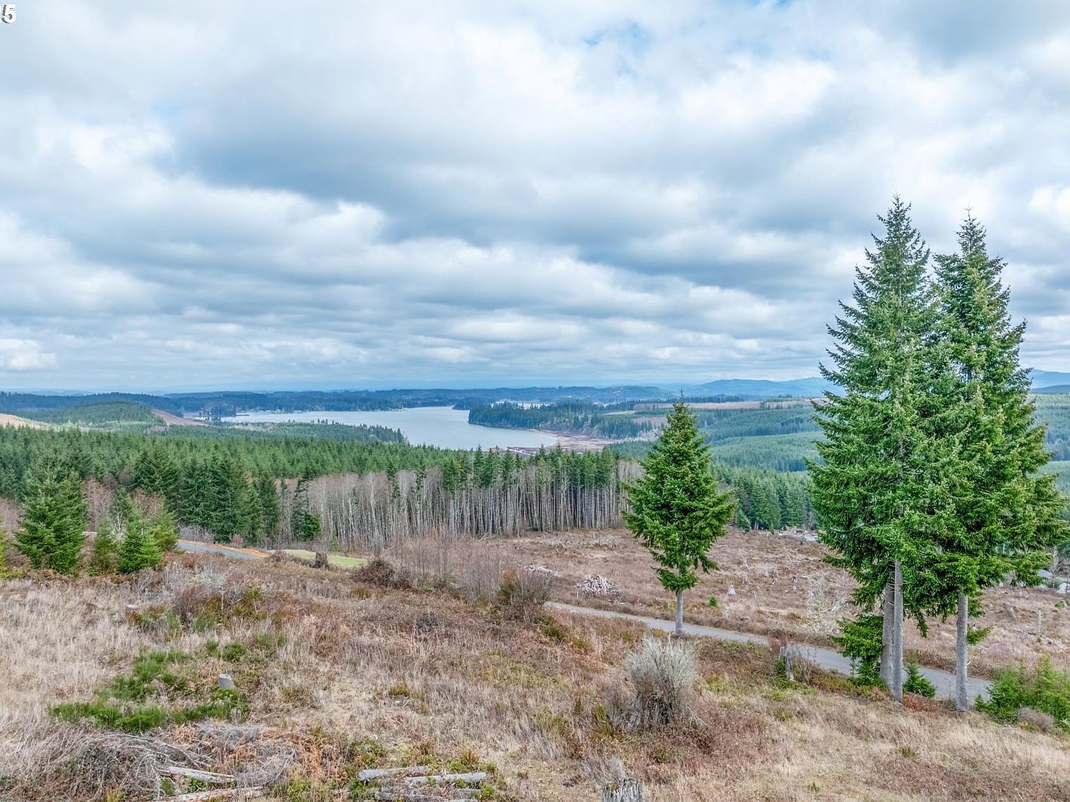 497 Red Hawk Dr #7 Castle Rock, WA 98611 - Thumbnail 3