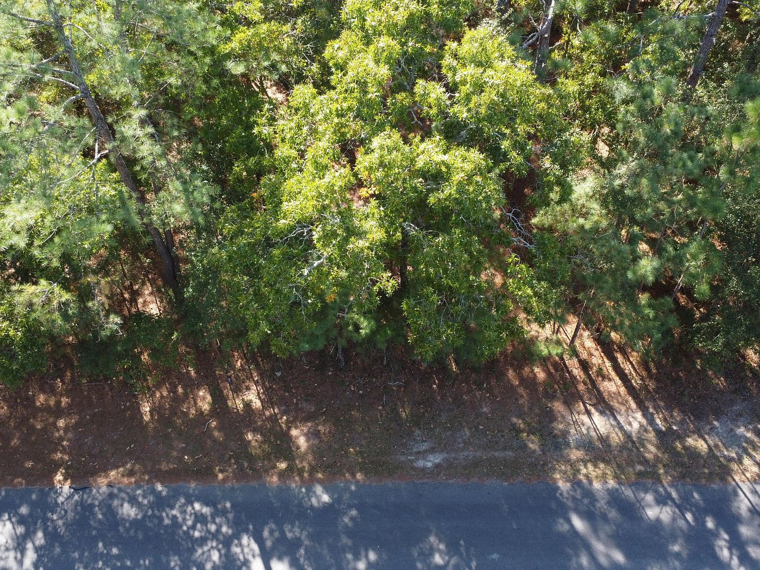 LOT 47 Ward Dr Dudley, NC 28333 - Thumbnail 3