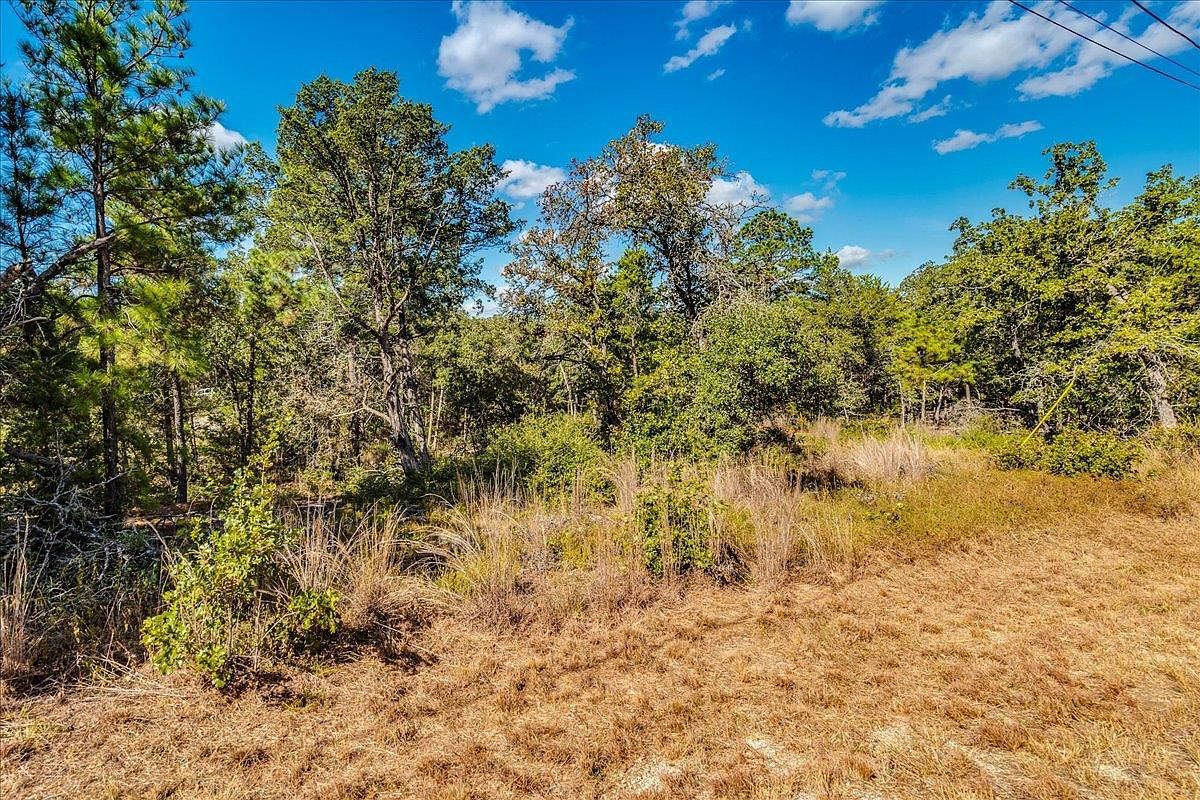 106 Wampum Smithville, TX 78957 - Thumbnail 3