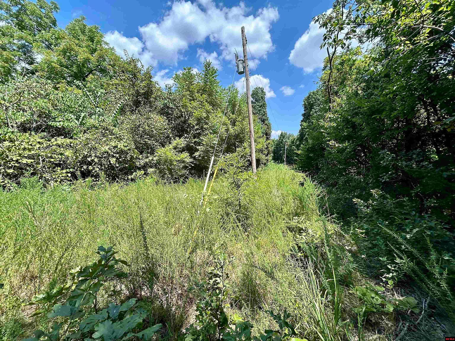 001-04468-000 County Road 606 Mountain Home, AR 72653 - Thumbnail 3