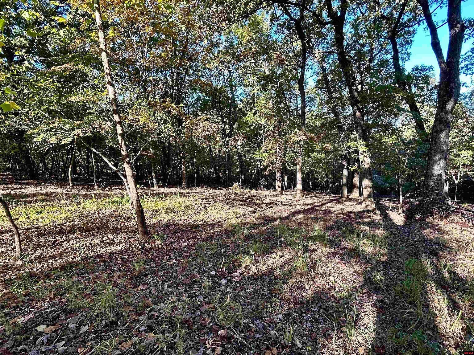 001-03309-006 Oakley Rd Mountain Home, AR 72653 - Thumbnail 3