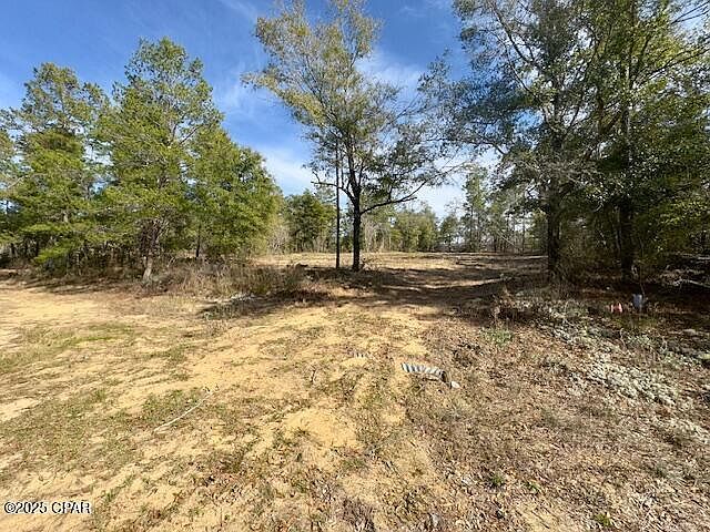 LOT 19 Paradise Lakes Rd Chipley, FL 32428 - Thumbnail 3