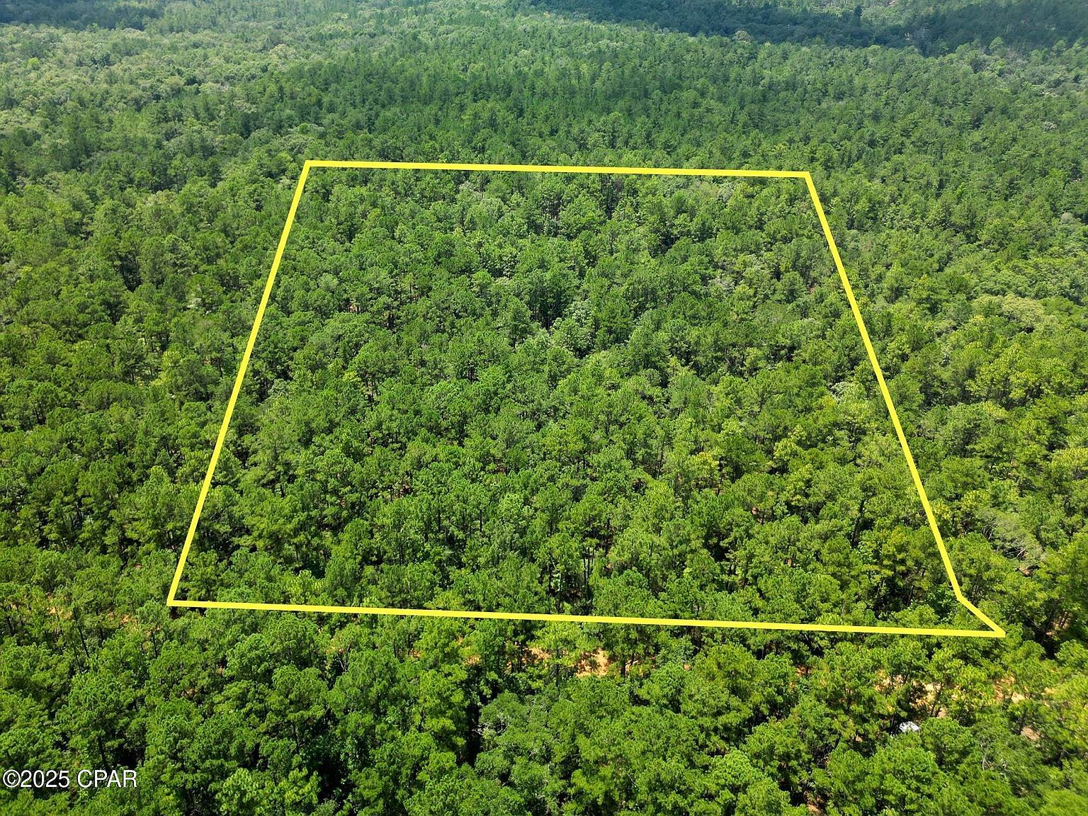 Creek Run Rd Vernon, FL 32462 - Thumbnail 3